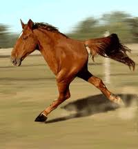 Running Horse